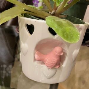 Meet your Posher, Lynnette